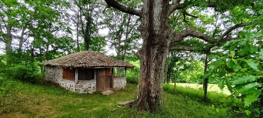 Параклис "Св. Георги" - Заберново