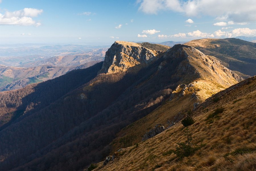 Връх "Козя стена"