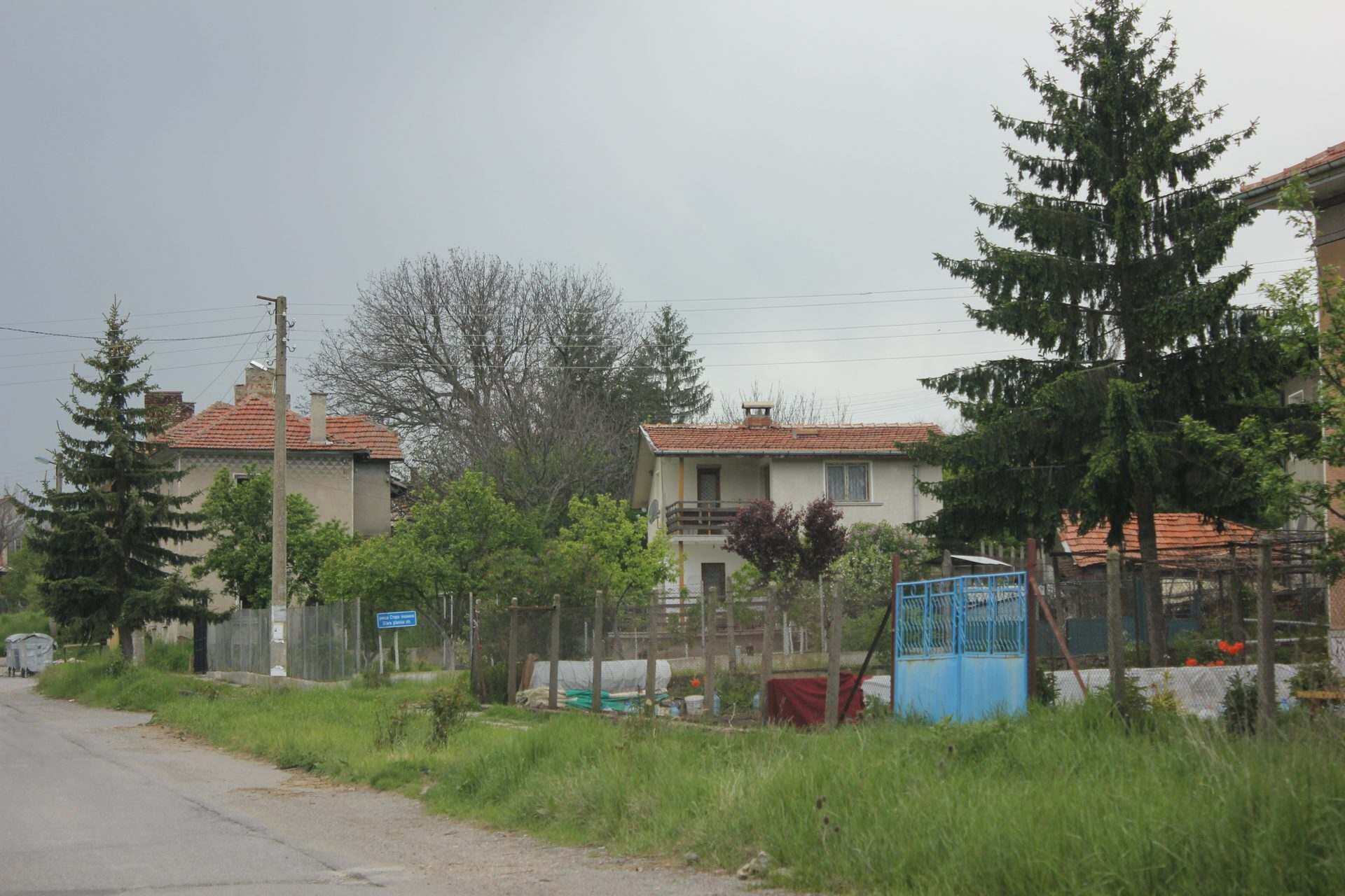 Златуша