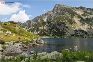 Връх Сиврия