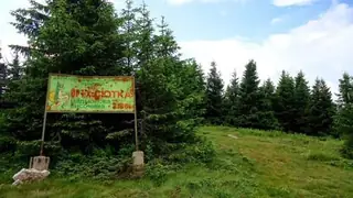 Връх Голяма Сюткя