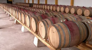 Винарска изба "Пълдин" - Перущица