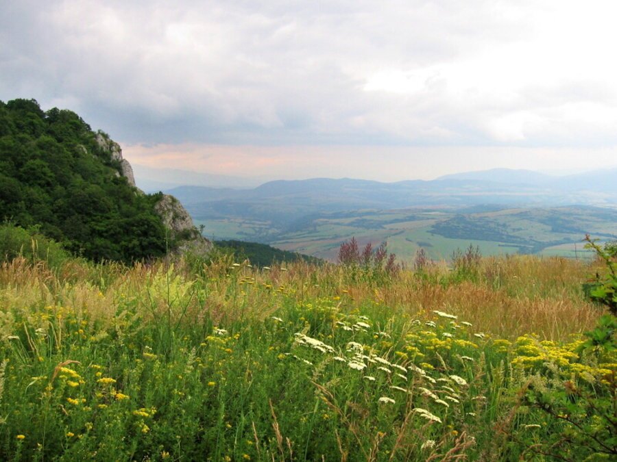 Горнокознички манастир - Горна Козница