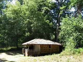 Местност "Св. Илия" - Кости