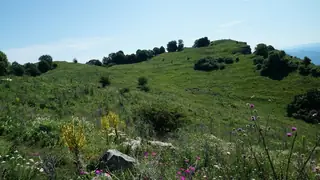 Крепост "Трескавец" - Бабинци