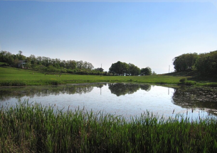 Защитена местност "Блатото" - Обел