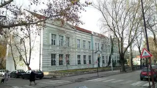 Зеленото училище - Видин