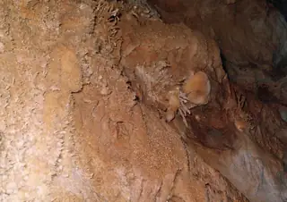 Пещера "Мъгливия сняг"