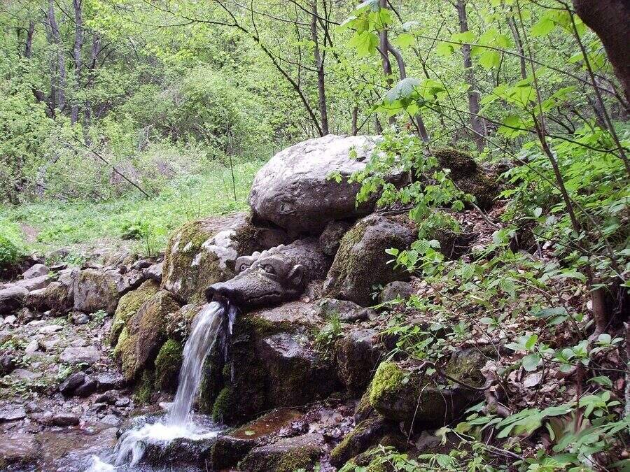 Извор "Живата вода" - Боснек