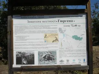 Защитена местност "Гюргена"