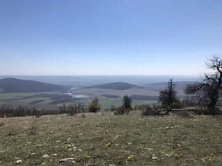 Връх Илийца