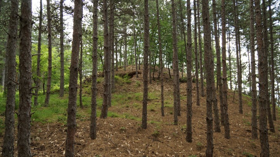 Тракийска гробница "Маньов дол" - Старосел