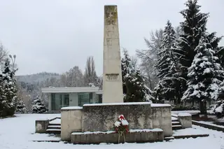 Паметник-костница на загиналите антифашисти - Димово