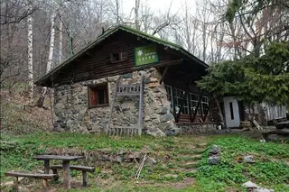 Заслон Кикиш