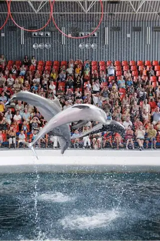 Делфинариум - Варна