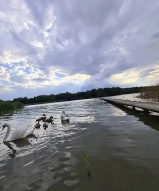 Язовир Засмяно – тишина и природа край Варна