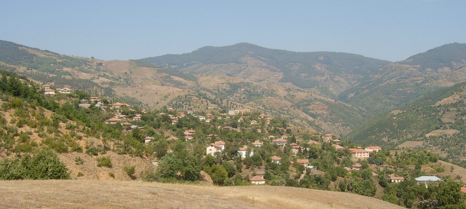 Гега