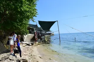 Мидена ферма "Дълбока" - Българево