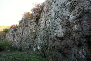 Масив "Дамбалъ"