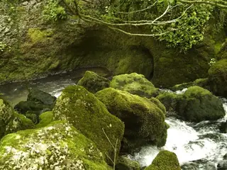 Пещера "Топля" - Голяма Железна