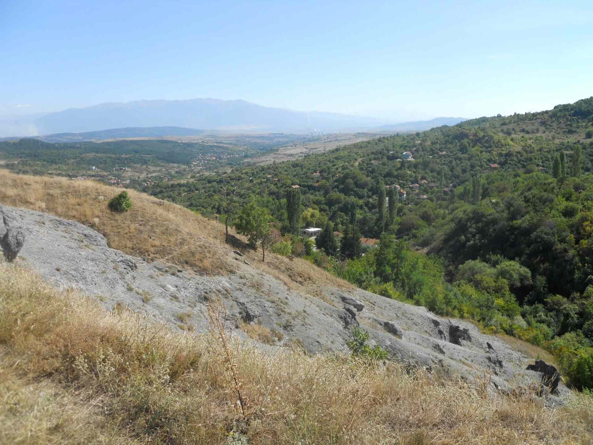 Голема Фуча