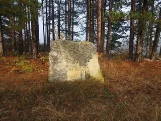 Паметник на Атанас Попов - с.Крушево