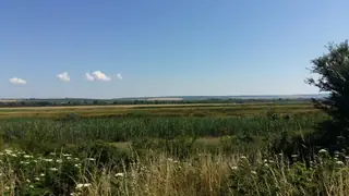 Защитена местност "Герена" - Обнова