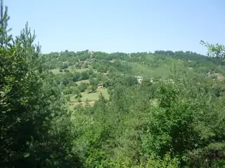 Изоставеното село Дядовци