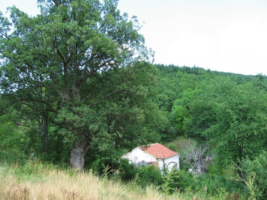 Голямобуковски манастир "Св. Животоприемен източник" - Голямо Буково