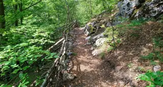 Пещера Типицето