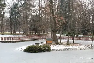Езерото с патиците в Борисовата градина - София