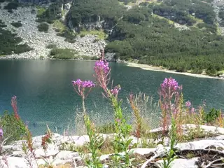 Йончево езеро