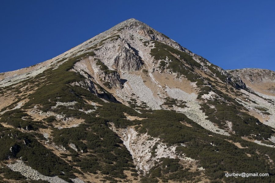 Връх "Черна поляна"