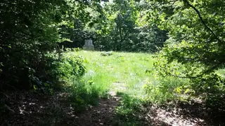 Връх Богдан