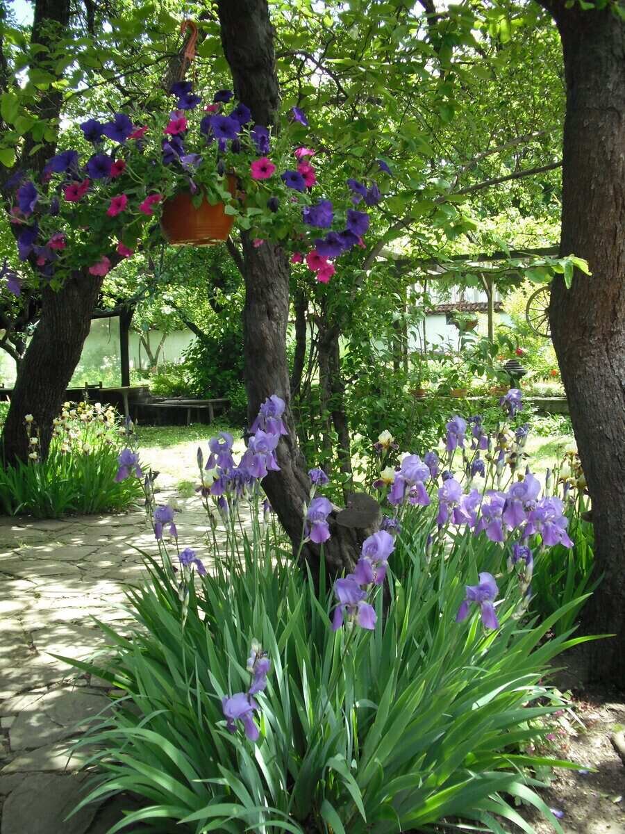 "Карталовата къща" - Велики Преслав