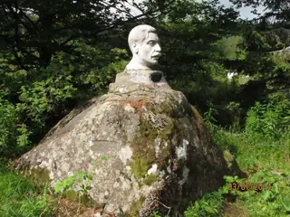 Яворова поляна