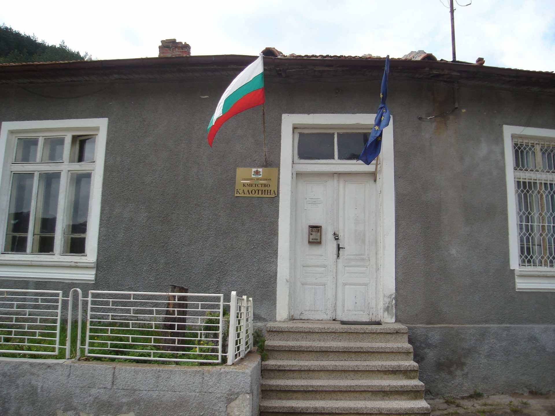 Калотина