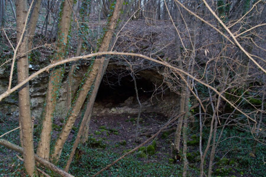 Бонинска пещера - Крушуна