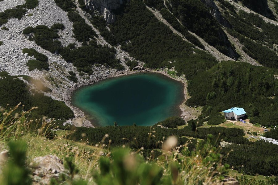 Синивръшко езеро