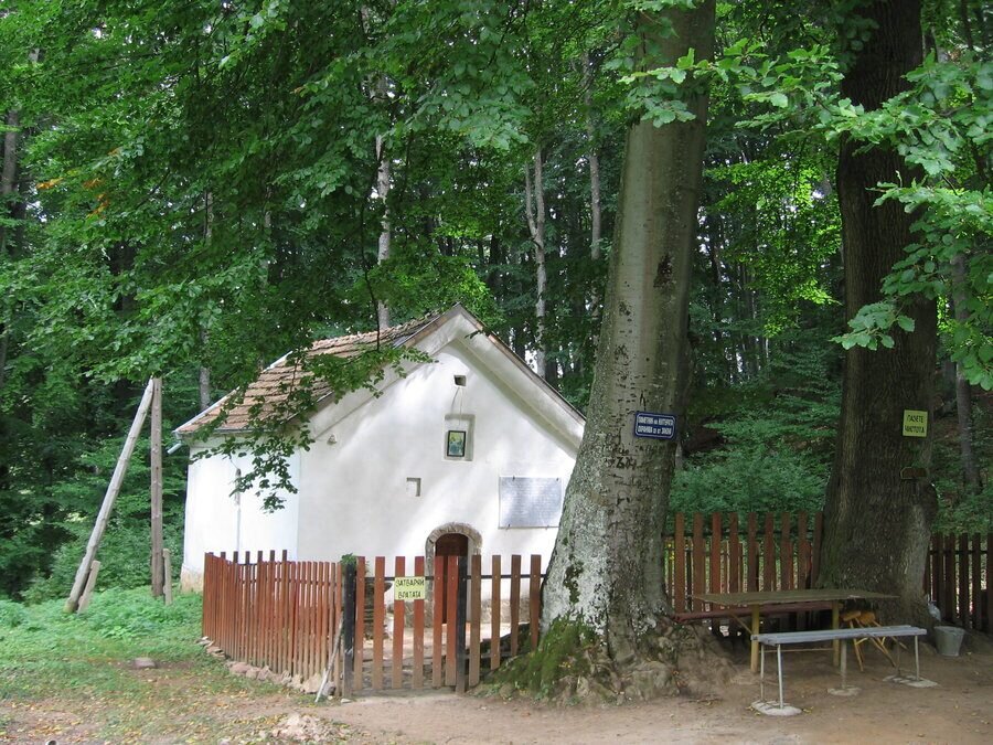 Ерулски манастир "Света Троица" - Душинци