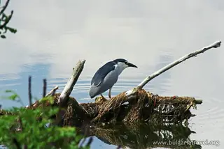 Археологически резерват "Дуранкулак"