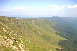 Резерват "Пеещи скали"