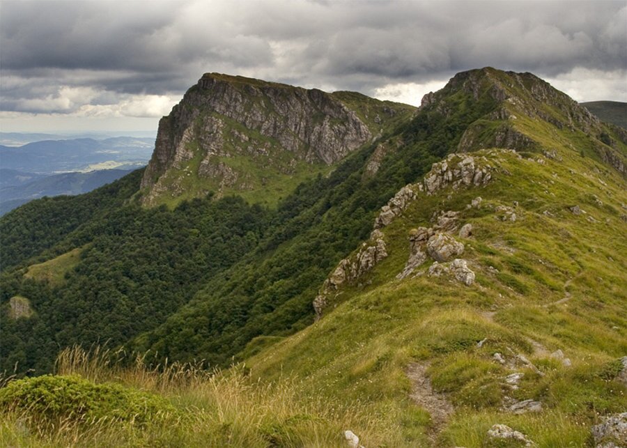 Резерват "Козята стена"