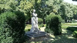 Паметник на Тодор Петров - Видин