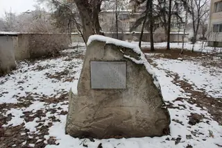 Паметна плоча на Жул Паскин - Видин