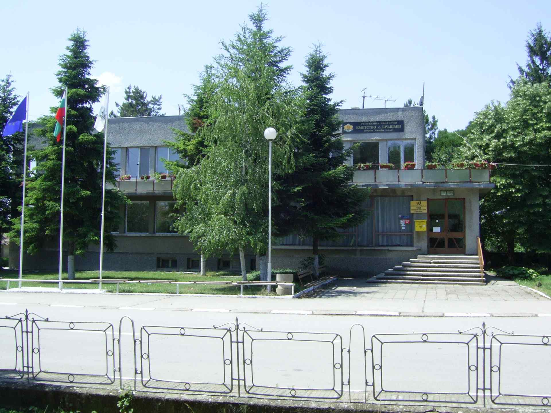 Бръшлен
