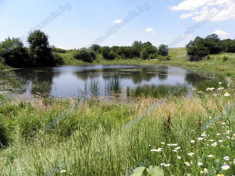 Езеро Рашекова бара - Деветаки