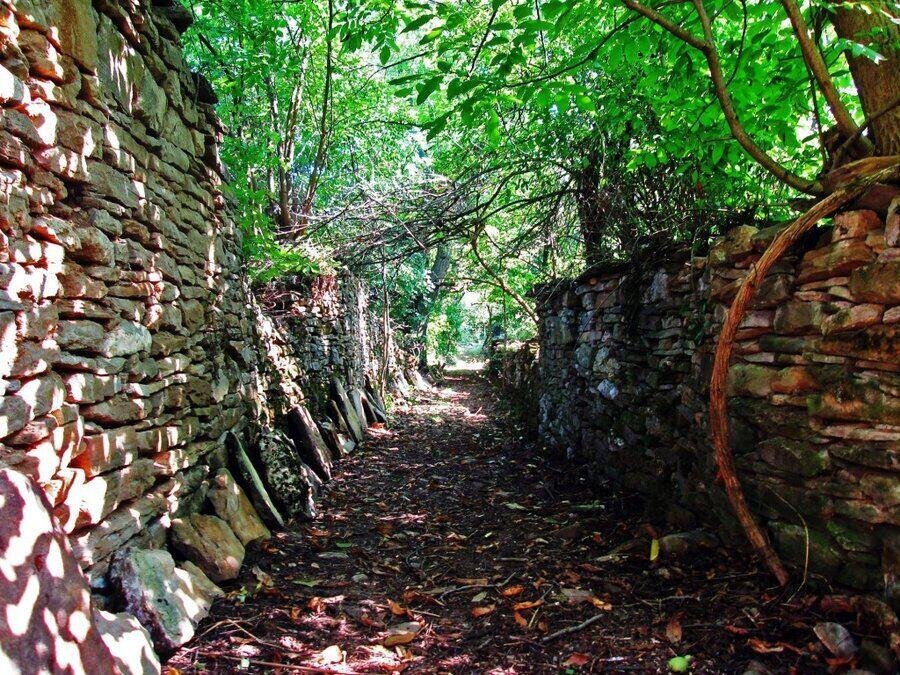 По тайните пътеки от Дряново към Дряновския манастир