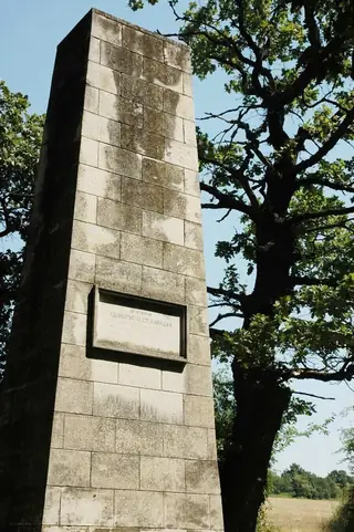 Дядопановата кория - Горна Липница