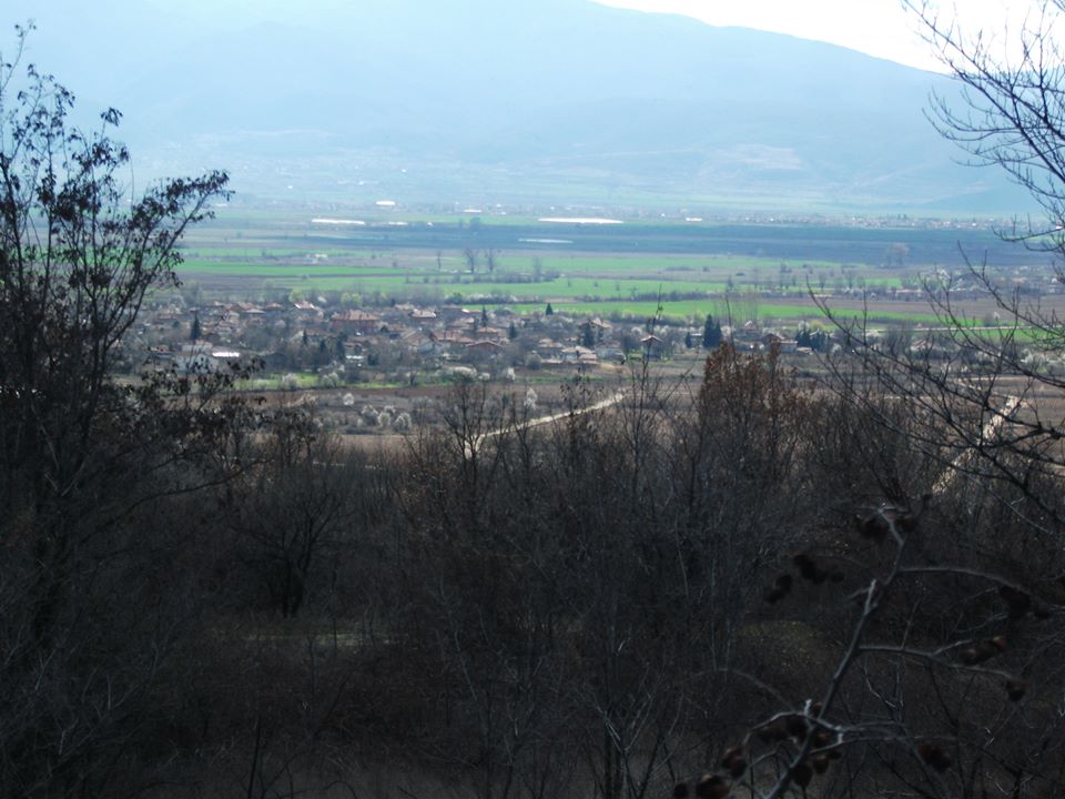 Бошуля